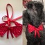 KÖPEK VE KEDİ FULARI
