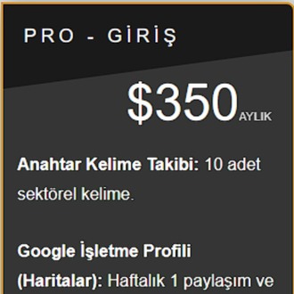 Pro - Giriş