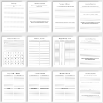 Gölge Çalışması E-Kitap