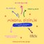 Mindful disiplin - 15 Nisan Atölye Kaydı