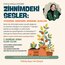 Zihnimdeki Sesler - Atölye Kaydı