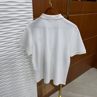 Amı Polo