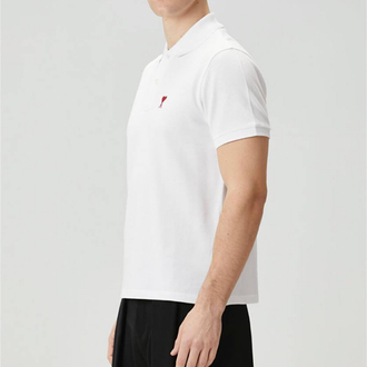 Amı Polo
