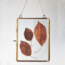 Leaf02