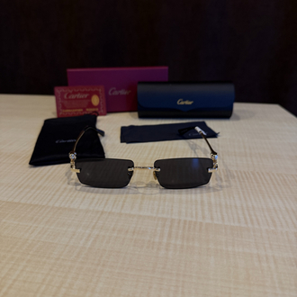 Cartier Gözlük-21