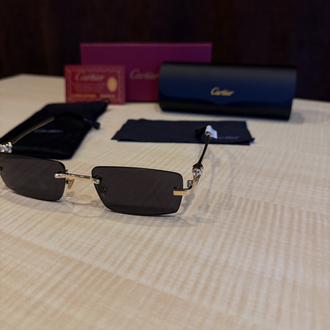 Cartier Gözlük-21