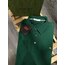 Etro Polo Yaka Logo Nakışlı T-Shirt