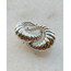 Silver İstiridye Halka Küpe