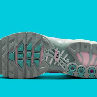 Nike TN Air Max Plus “ Paw Print Grey Pink Foam “
