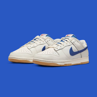 Nike Dunk Low SE 