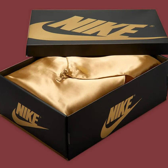Nike Air Jordan 1 High Asia Exclusive “ Xuanwu “
