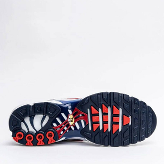 Air Max Plus Euro Tour