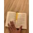 Lamba kitap ayracı