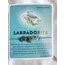 Labradorite Taşlı Bileklik