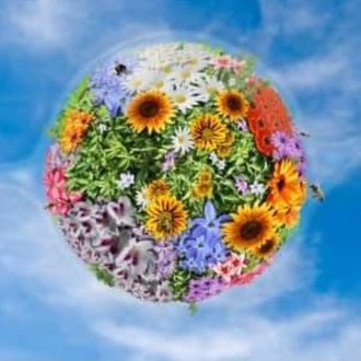 Reiki ile Mekan Enerjisi Temizliği Çalışması