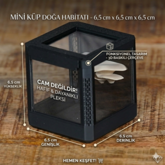 Modular Micro Terrarium - 6.5 × 6.5 × 6.5 cm