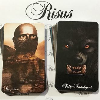 Twin Flame Shadows Oracle Destesi