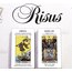 Başlangıç Tarot Destesi
