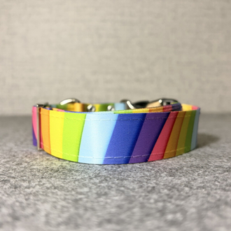Rainbow Boyun Tasması