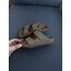 Birkenstock Arizona Vizon(Açık)