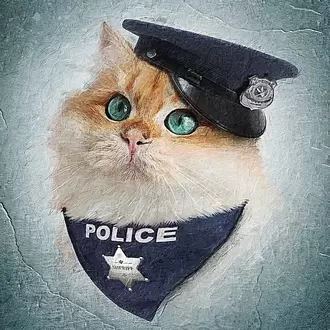 Polis