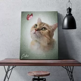 Kelebek