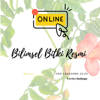 online bilimsel bitki resmi 4 ders