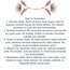 Spritüel journal ( dijital ) PDF