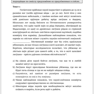 Rusça Tipik YDS Soruları
