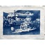 Eternal Sacrifice, Cyanotype Baskı
