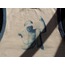 Death of Socrates Cyanotype Crop Top