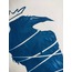 Bound Wisdom - Cyanotype Baskı