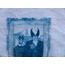 Mutant Gothic Cyanotype Crop
