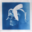 Hamlet of Apes - Cyanotype Baskı