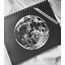 Siyah Yapraklı Defter B4 Black Sketch