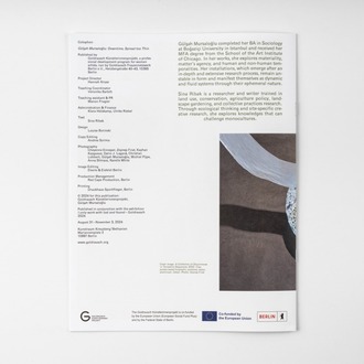 Gülşah Mursaloğlu - downtime,spread too thin