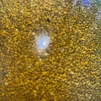 Kestane poleni kuru 200 gr