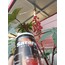 BODRUM ÇAM BALI 850 gr