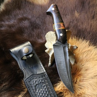 BEAR 5
