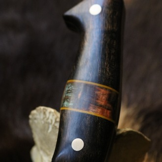 BEAR 5