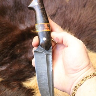 BEAR 5