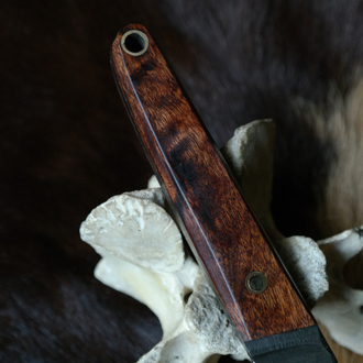 BEAR TANTOO 4