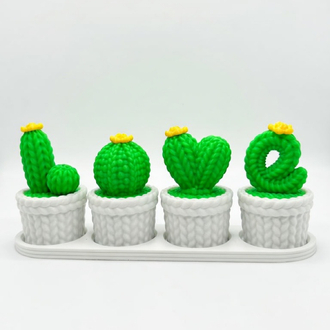 LOVE kaktüs