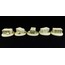 1 Kuru Kafalı Hazine Sandığı 28mm Ölçek için 
