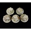 6 Kuru Kafalı Hazine Sandığı 28mm Ölçek için