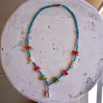 Blue Cowrie 