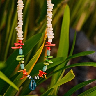Coral Dream