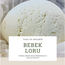 bebek loru