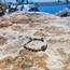 White Bracelet