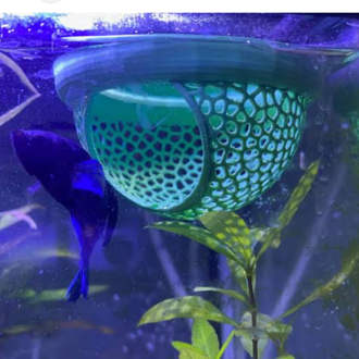 Betta Yatağı